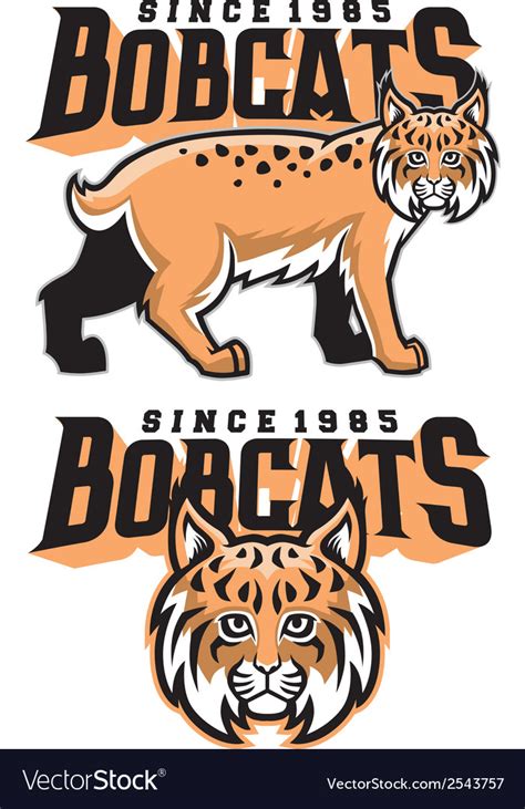 Bobcat mascot ensemble